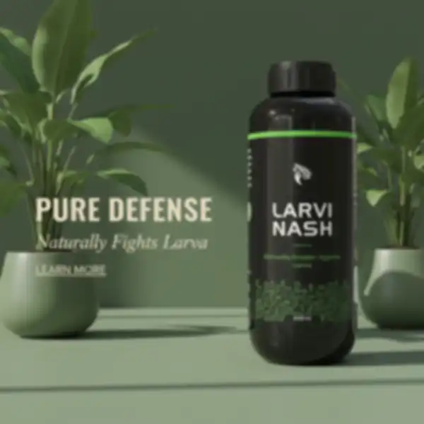 undefined__undefined