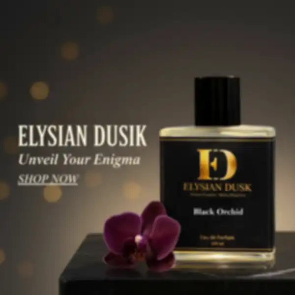 undefined__undefined