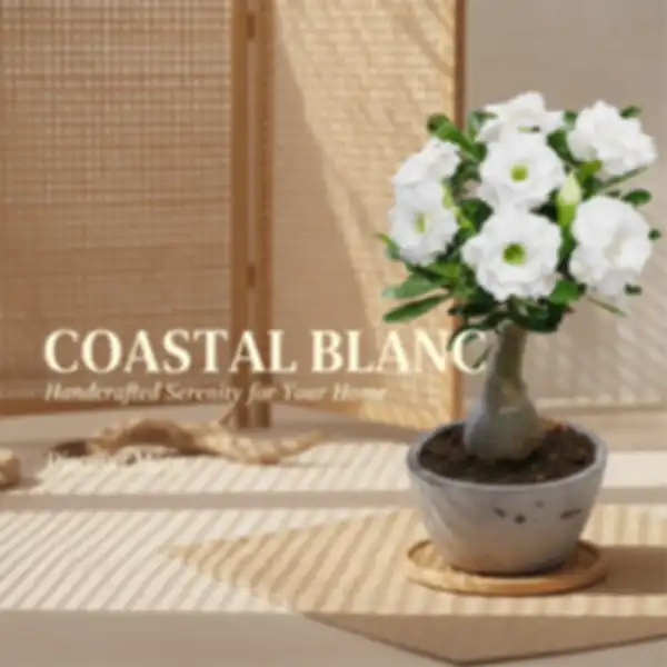 undefined__undefined