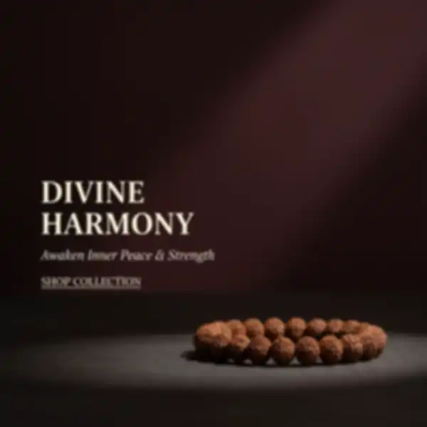 undefined__undefined