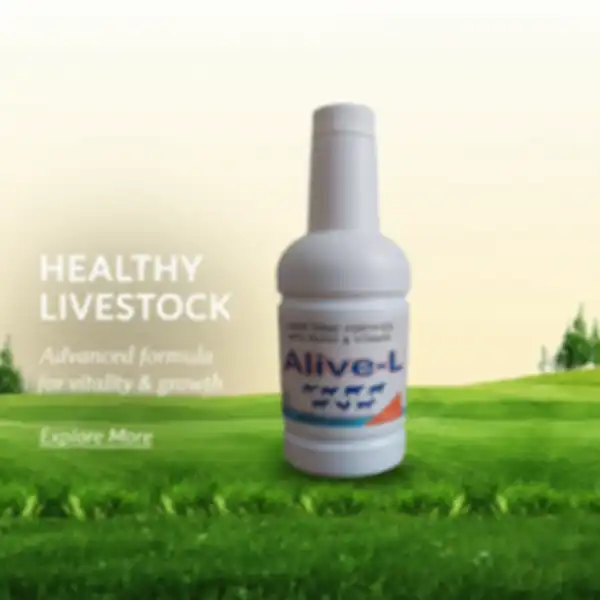 undefined__undefined