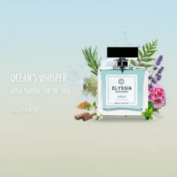 undefined__undefined