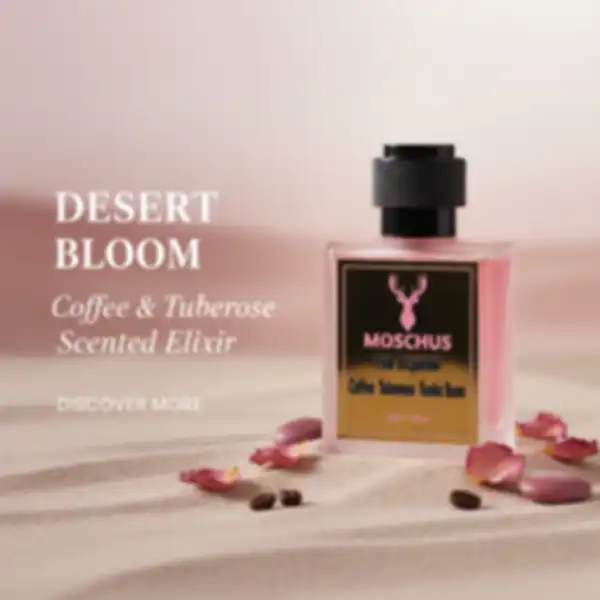 undefined__undefined