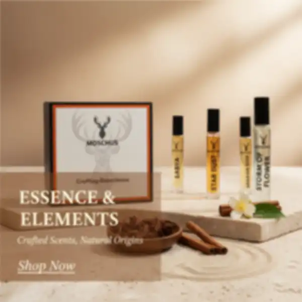 undefined__undefined