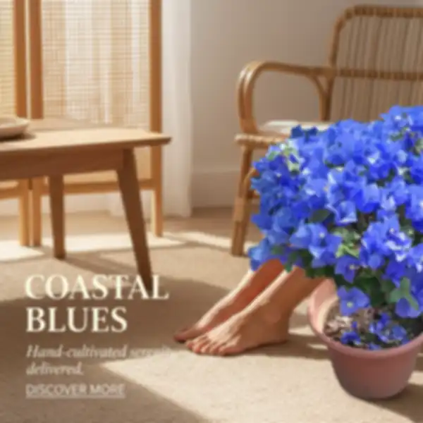 undefined__undefined