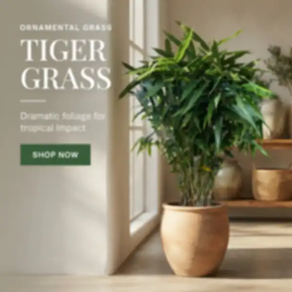 Hero_Banner_undefined__undefined