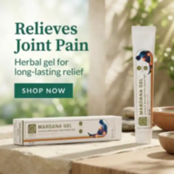 Hero_Banner_undefined__undefined