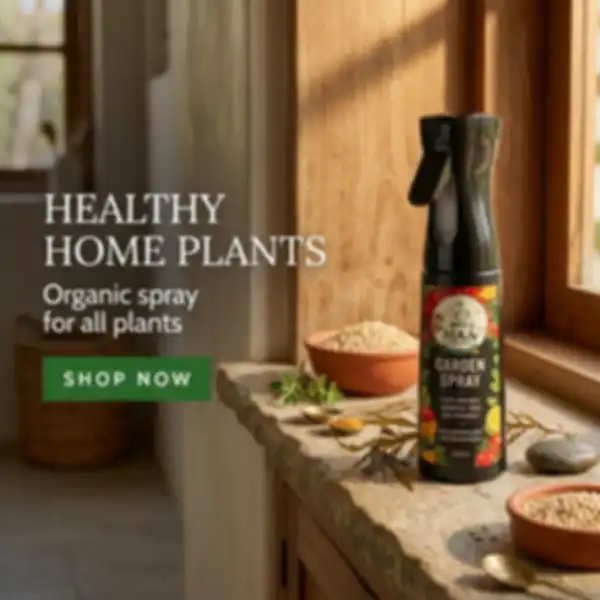 Hero_Banner_undefined__undefined