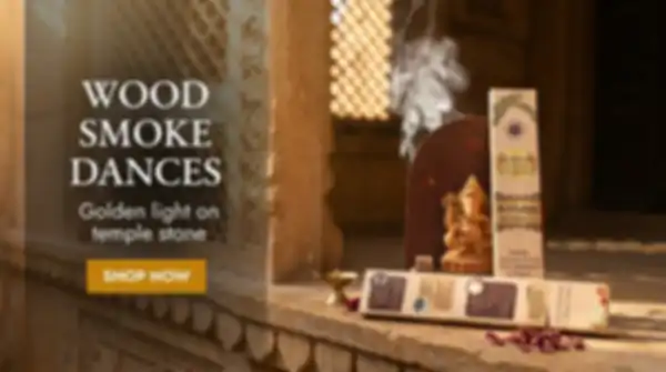 Trend_Banner_undefined__undefined
