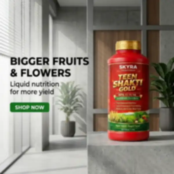 Hero_Banner_undefined__undefined