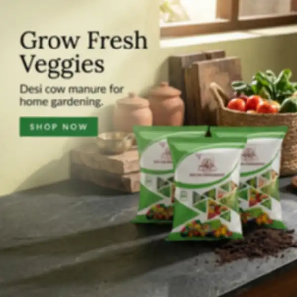 Hero_Banner_undefined__undefined