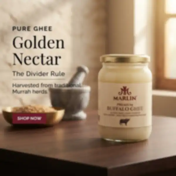 Hero_Banner_undefined__undefined