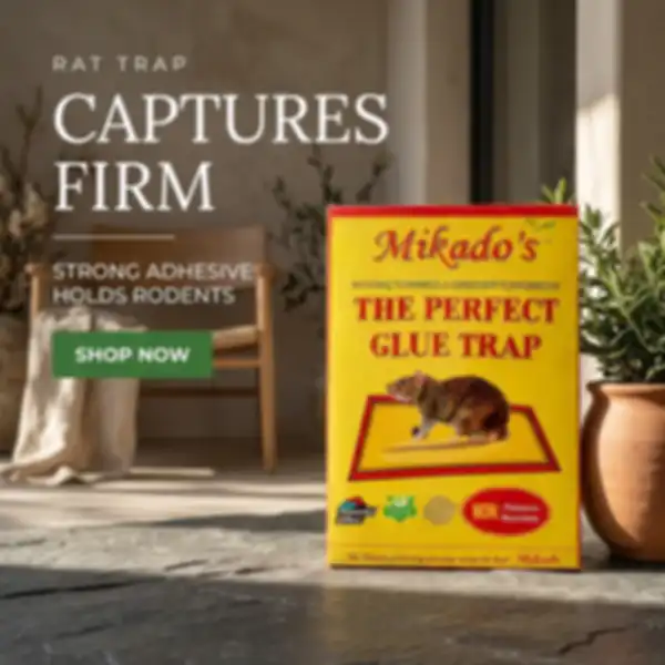 Hero_Banner_undefined__undefined