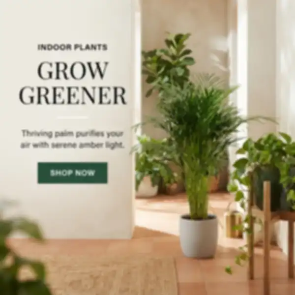 Hero_Banner_undefined__undefined