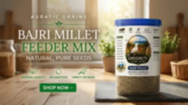 Trend_Banner_undefined__undefined