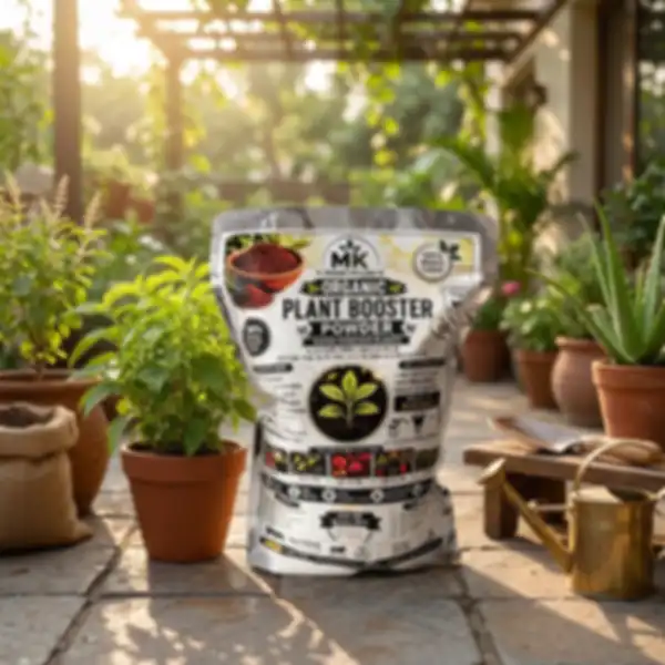 Hero_Banner_undefined__undefined