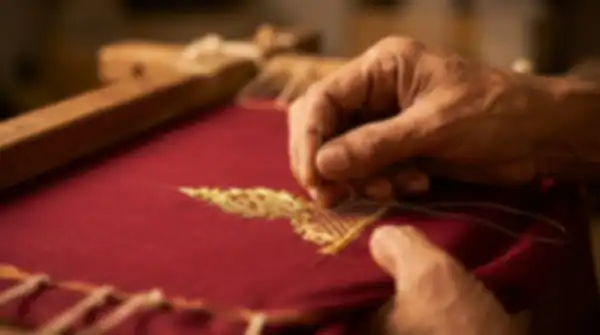 Content_and_Media_Zari_Embroidery,_Thread_by_Thread__undefined