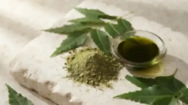 Content_and_Media_Neem_Leaf:_Nature's_Purifier__undefined