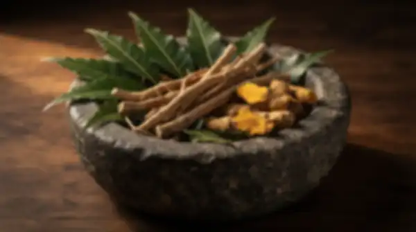 Content_and_Media_Rooted_in_Indian_Herbal_Tradition__undefined