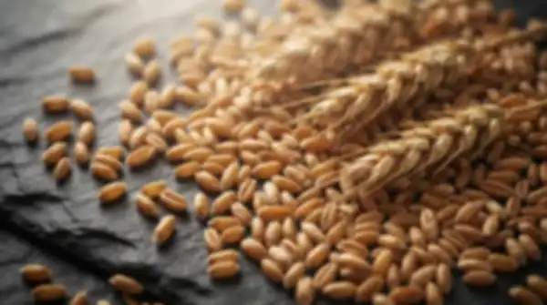 Content_and_Media_Whole_Wheat:_Grain_Worth_Knowing__undefined