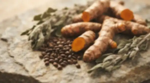 Content_and_Media_Every_Ingredient_Honestly_Sourced__undefined