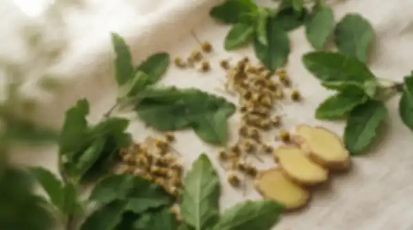 Content_and_Media_Herbs_sourced,_simply_explained__undefined