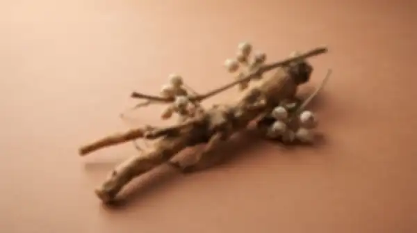 Content_and_Media_Ashwagandha_Root,_Stress_Decoded__undefined