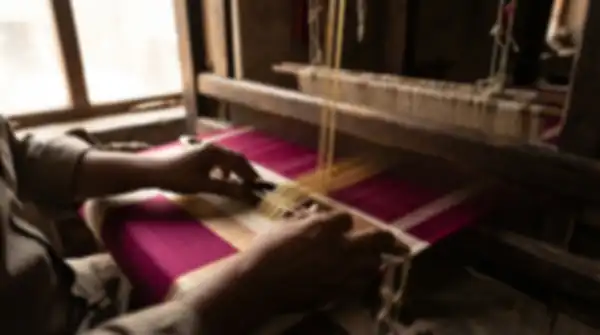 Content_and_Media_Zari_Woven,_Thread_by_Thread__undefined