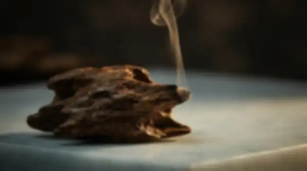 Content_and_Media_Oud_—_Ancient_Resin,_Modern_Depth__undefined