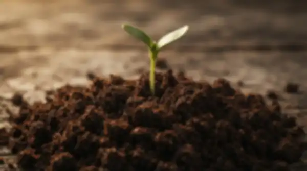Content_and_Media_Grown_From_the_Ground_Up__undefined
