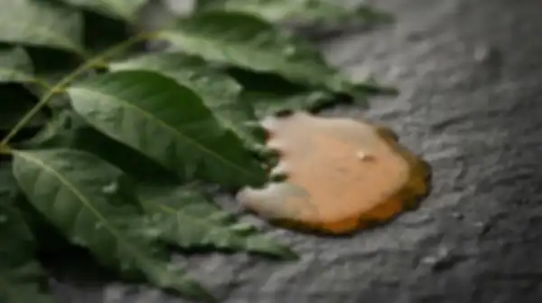 Content_and_Media_Ayurveda's_Botanicals,_Simply_Explained__undefined
