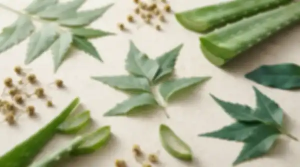 Content_and_Media_Nature's_Gentlest_Ingredients,_Chosen__undefined