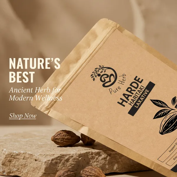 Alchemy Ayurcare – Herbal Wellness Products