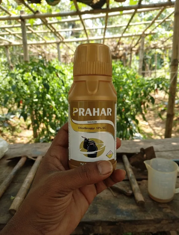 Testimonial_Dinesh_Nair